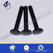 Factory Price High Precison Black Zinc Plated Carriage Bolt